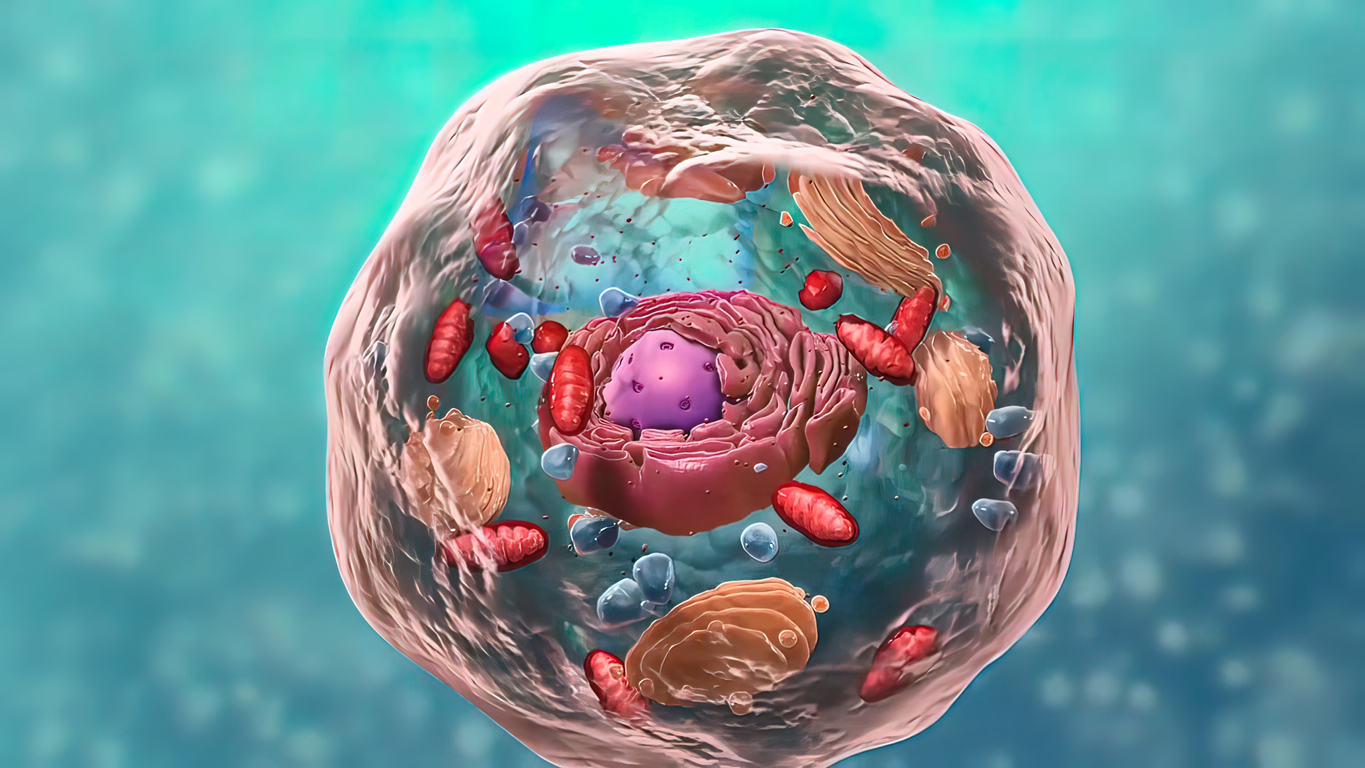 Näring för membranen – cellens portvakter